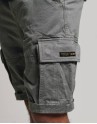 Superdry Man Shorts 