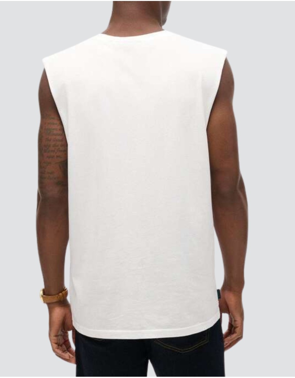 Superdry Man T-shirt 