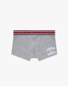 Franklin & Marshall Man Boxer briefs